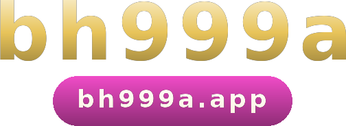bh999a logo
